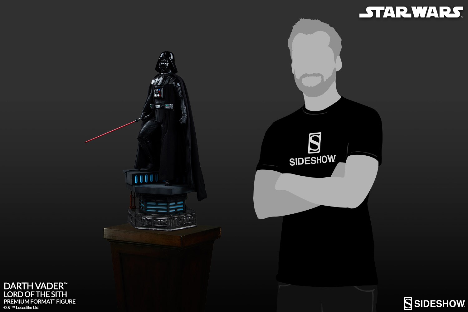 Darth Vader - Lord of the Sith View 14
