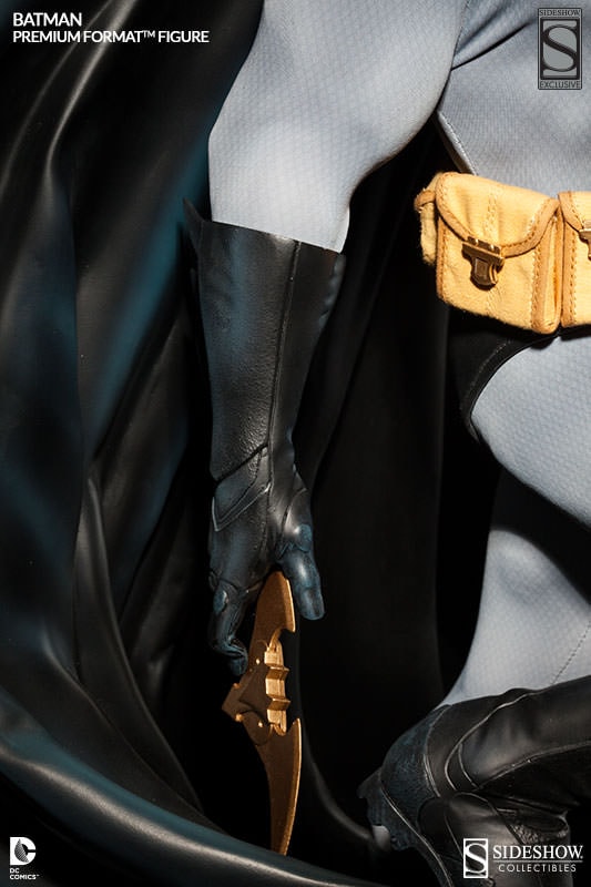 Batman View 2