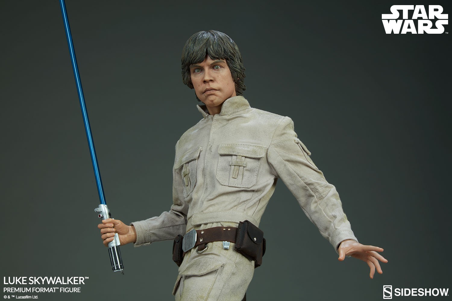 Luke Skywalker Collector Edition View 15