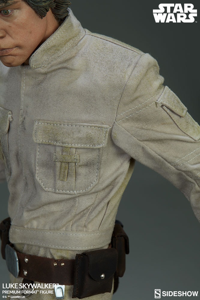 Luke Skywalker Collector Edition View 13