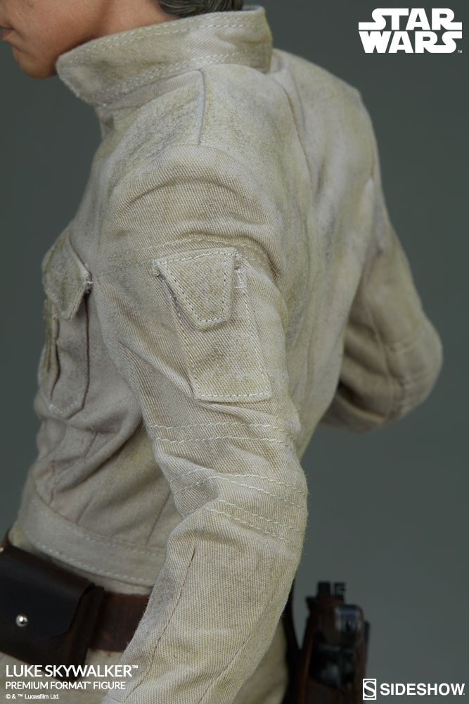 Luke Skywalker Collector Edition View 2