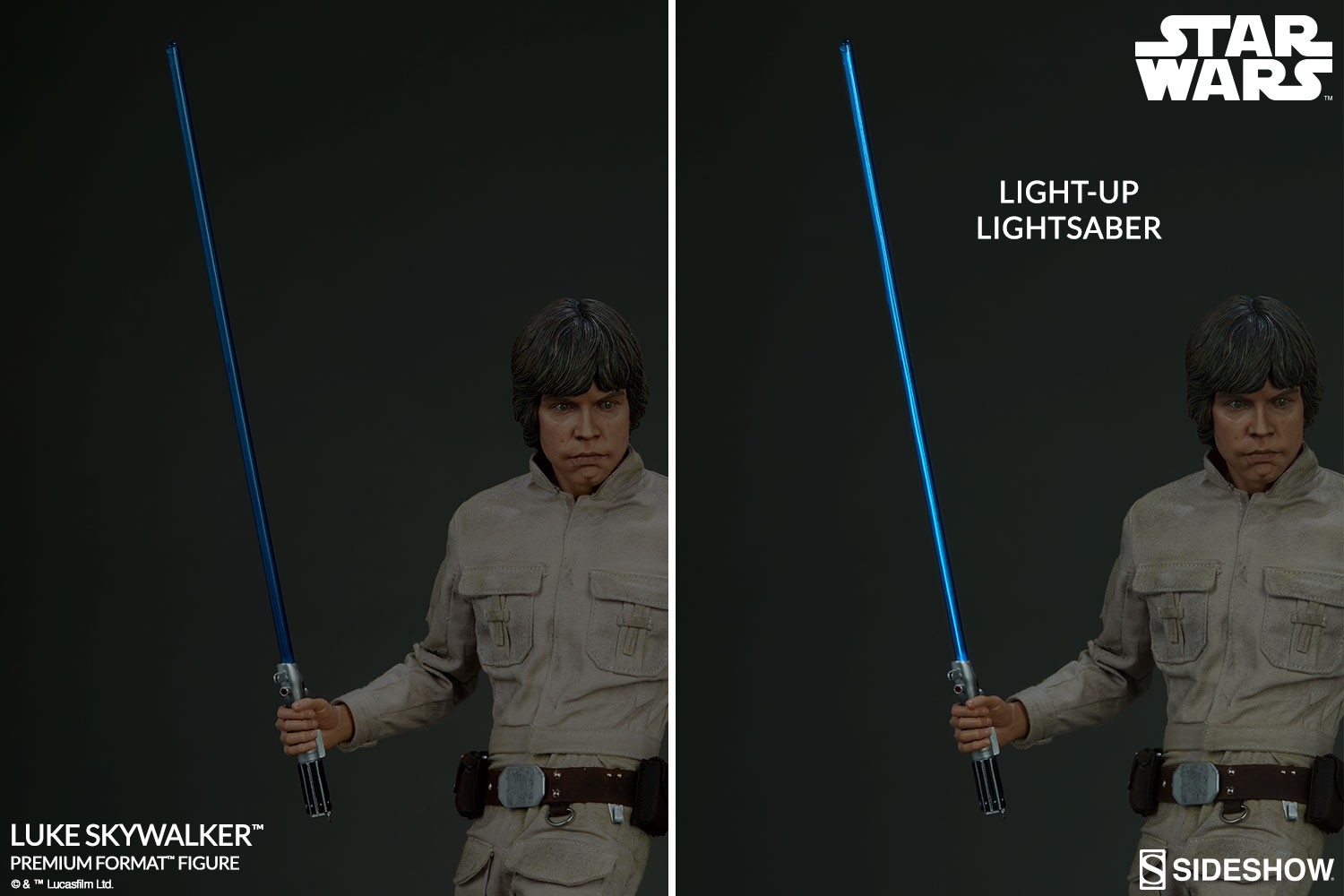 Luke Skywalker Collector Edition View 10