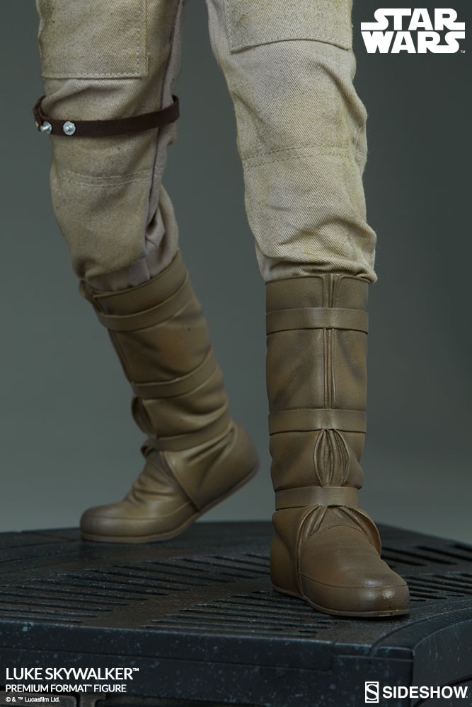 Luke Skywalker Collector Edition View 8