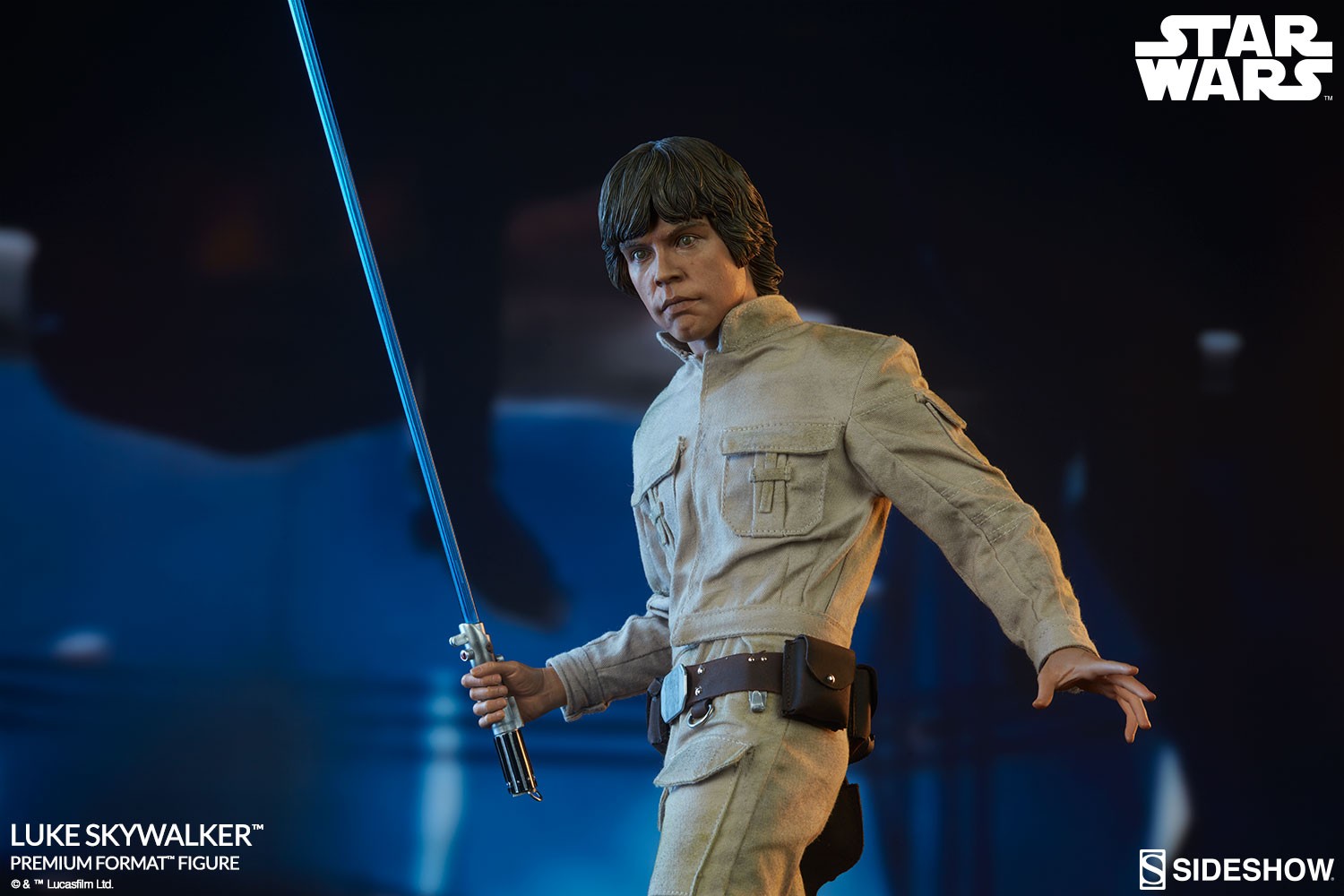 Luke Skywalker Collector Edition View 4