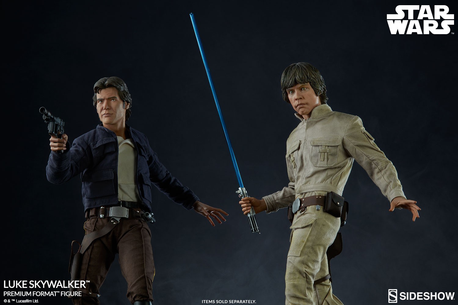 Luke Skywalker Collector Edition View 3