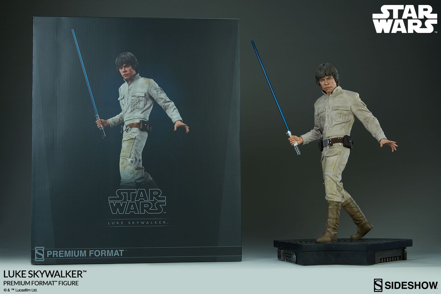 Luke Skywalker Collector Edition View 21