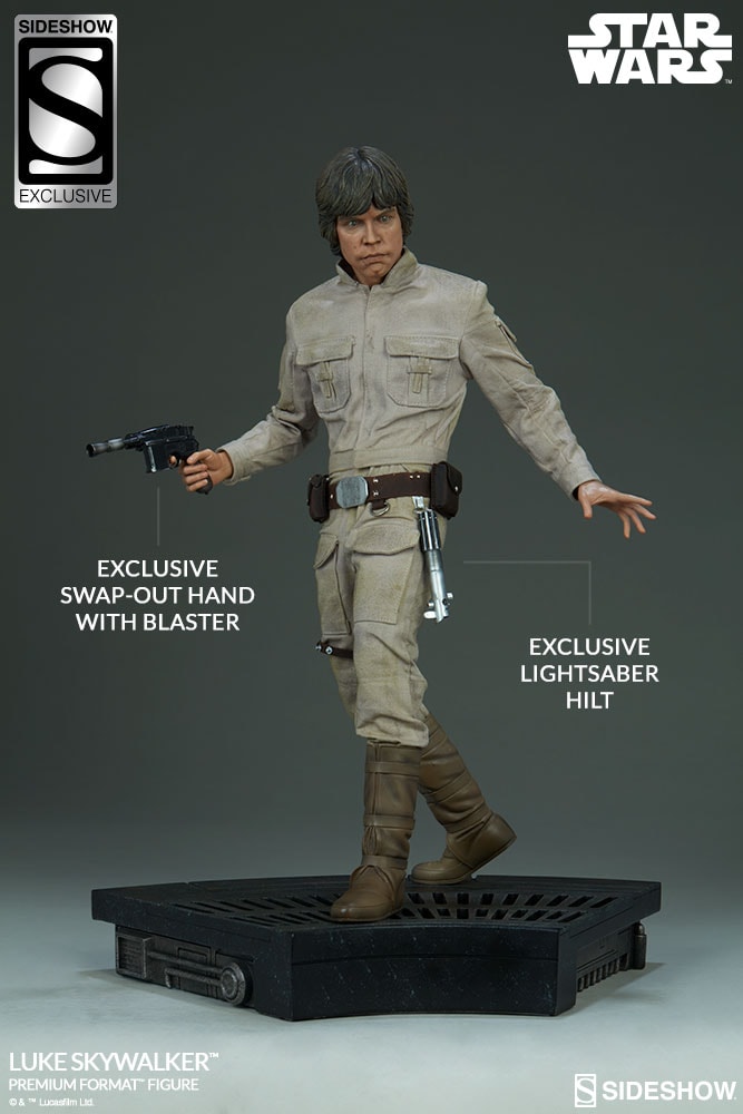 Luke Skywalker Exclusive Edition View 2