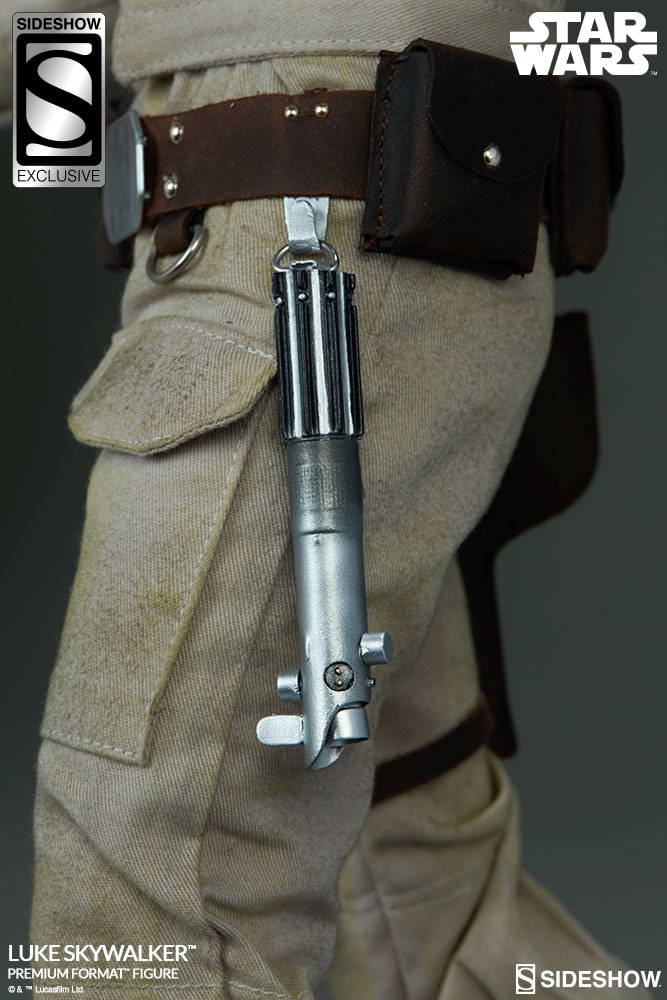 Luke Skywalker Exclusive Edition View 3