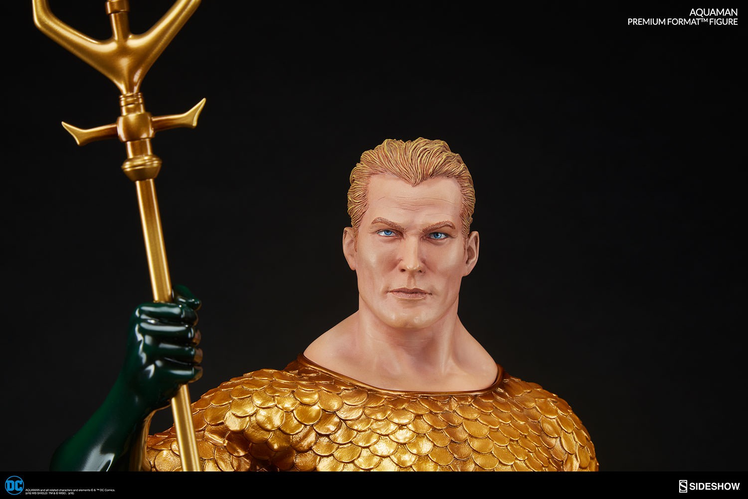 DC Comics Aquaman Premium Format™ Figure  Collector Edition View 10