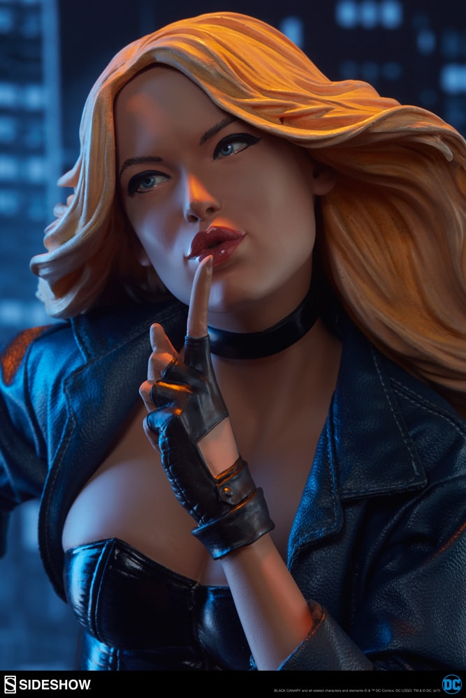 Black Canary Exclusive Edition View 18