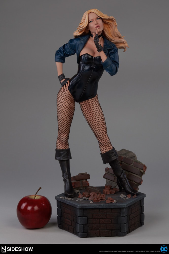 Black Canary Collector Edition View 5