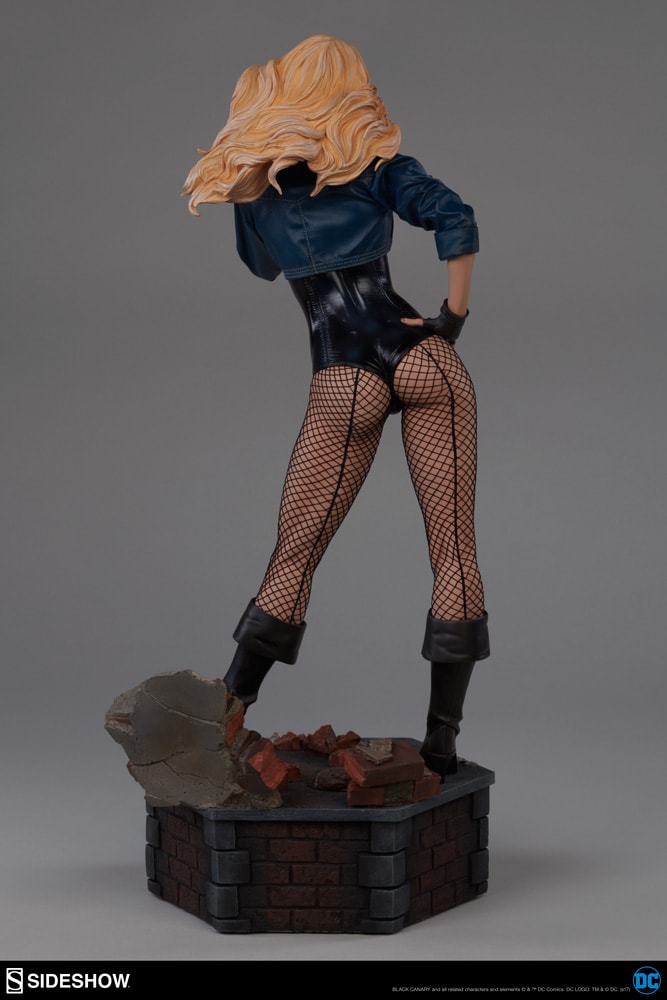 Black Canary Collector Edition View 7