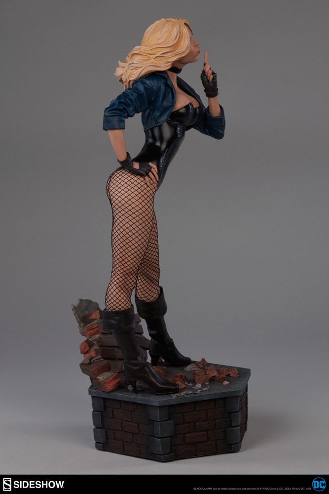 Black Canary Collector Edition View 8