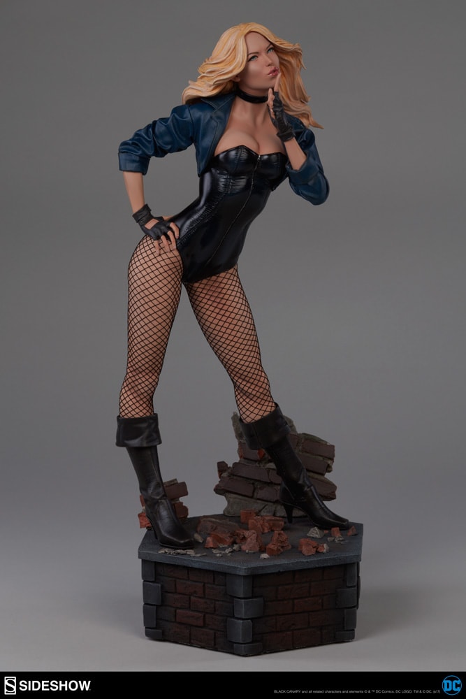 Black Canary Collector Edition View 9