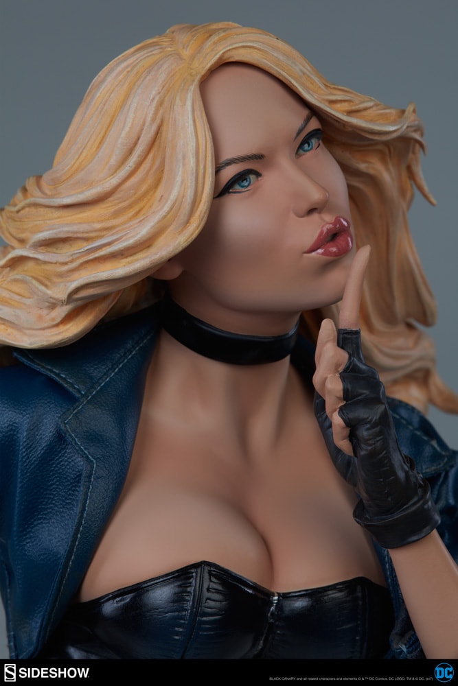 Black Canary Exclusive Edition View 11