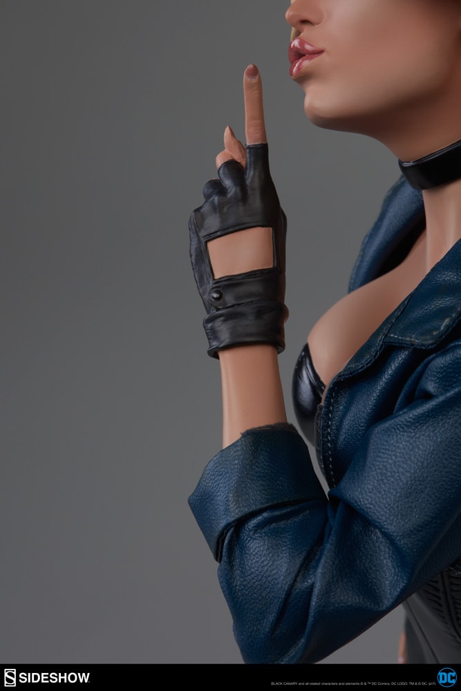 Black Canary Exclusive Edition View 4