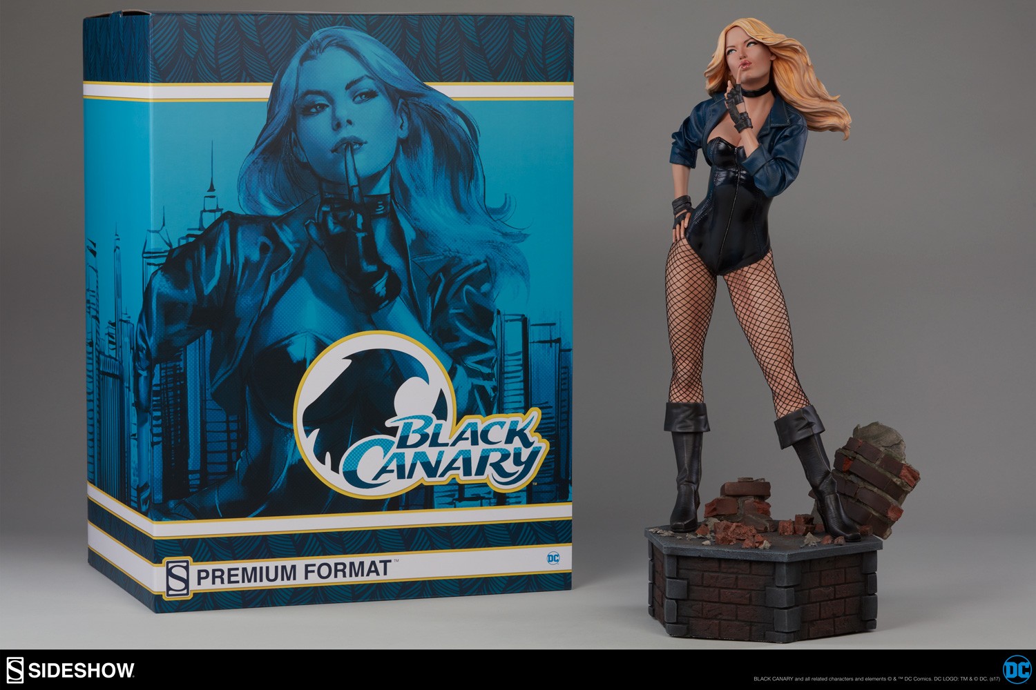 Black Canary Collector Edition View 4