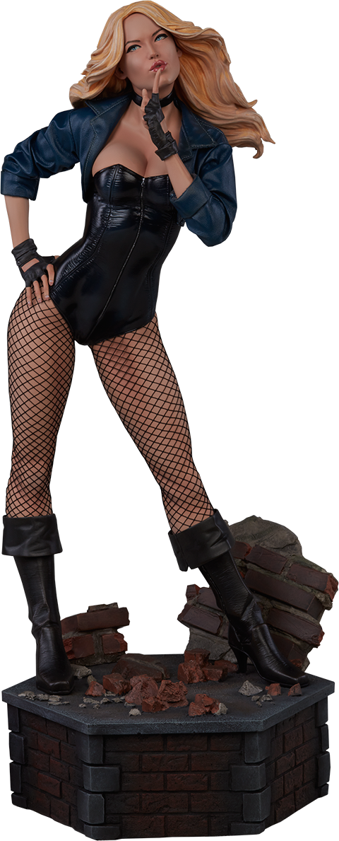 Black Canary Collector Edition View 19