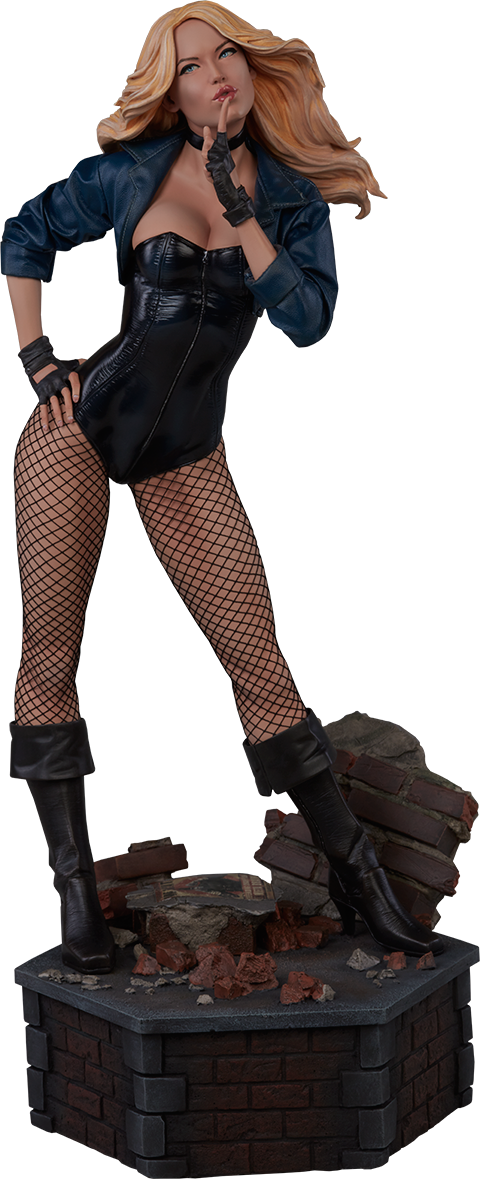Black Canary Exclusive Edition View 21