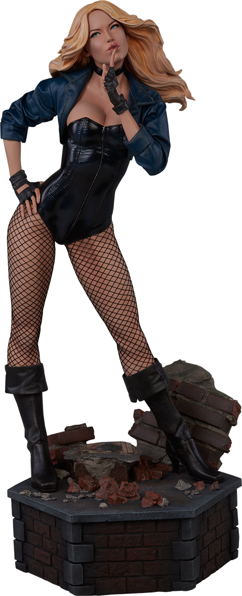 Black Canary Exclusive Edition View 21