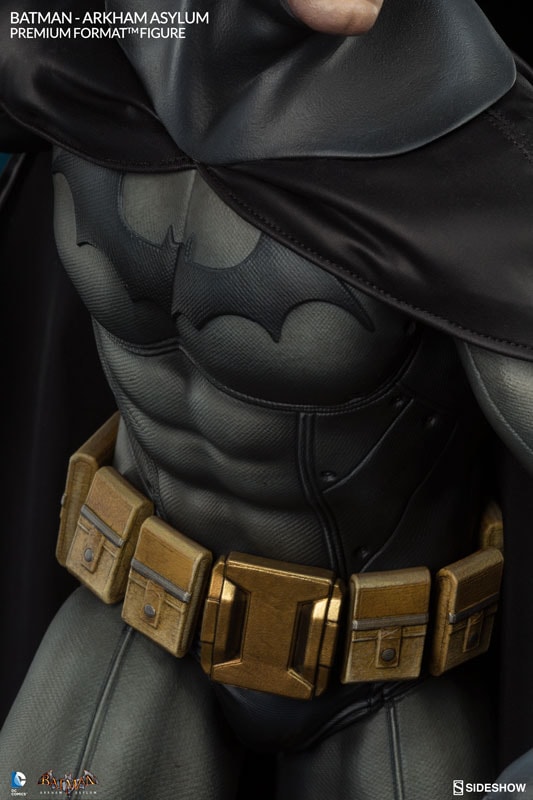 DC Comics Batman Arkham Asylum Premium Format™ Figure  Collector Edition (Prototype Shown) View 8
