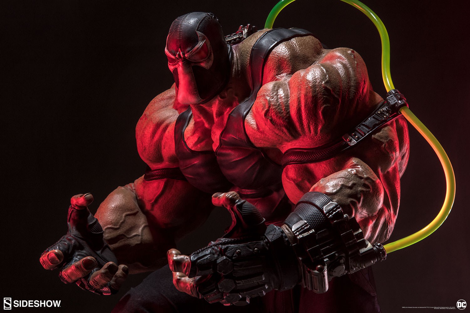 Bane Collector Edition View 20