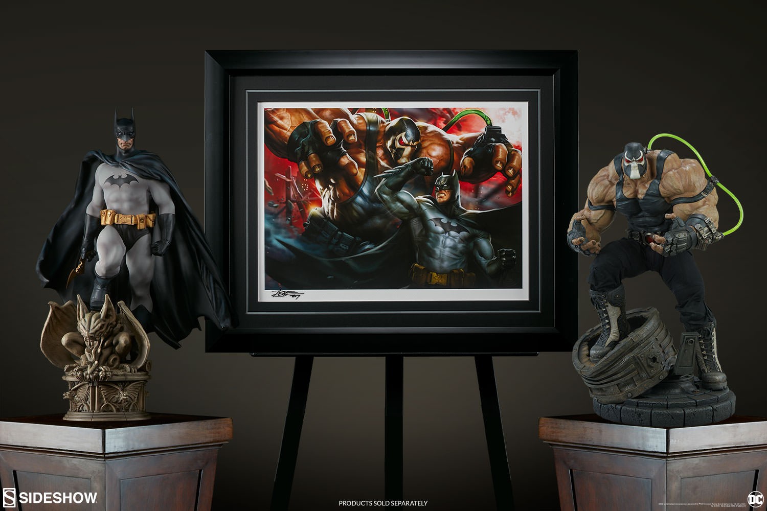 Bane Collector Edition View 29
