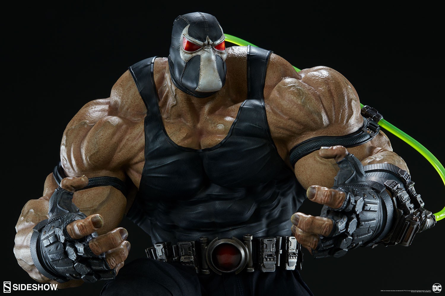 Bane Collector Edition View 33