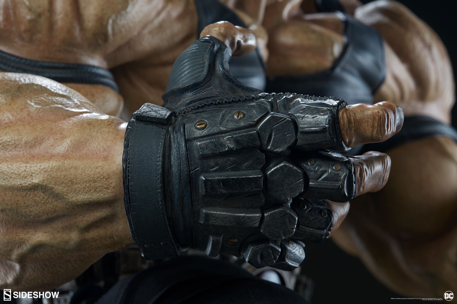 Bane Collector Edition View 14
