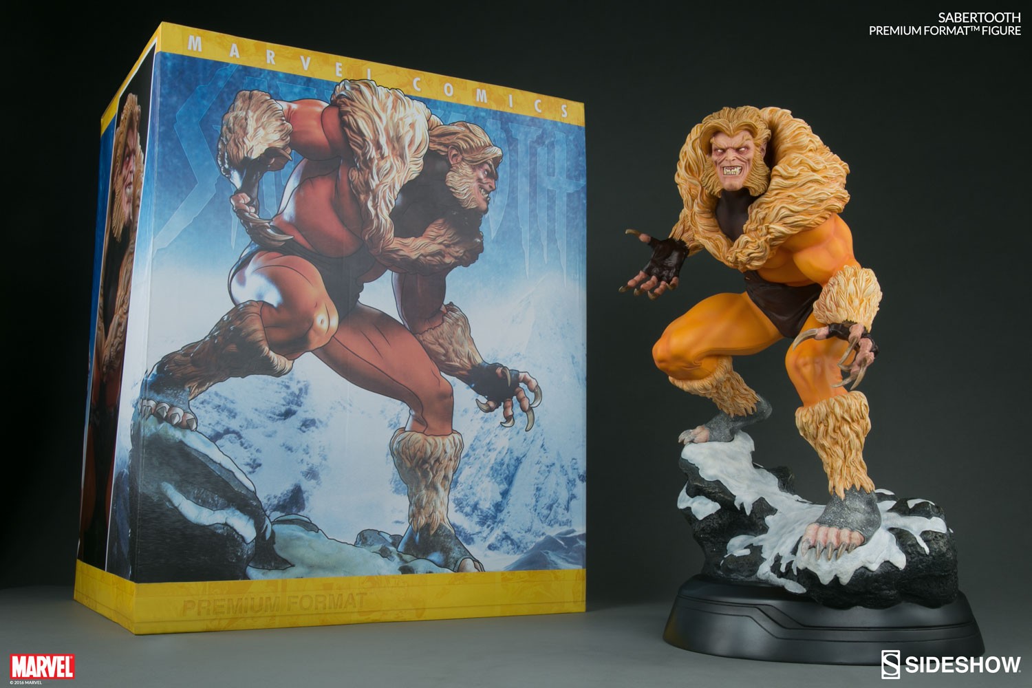 Sabretooth Classic Collector Edition View 3