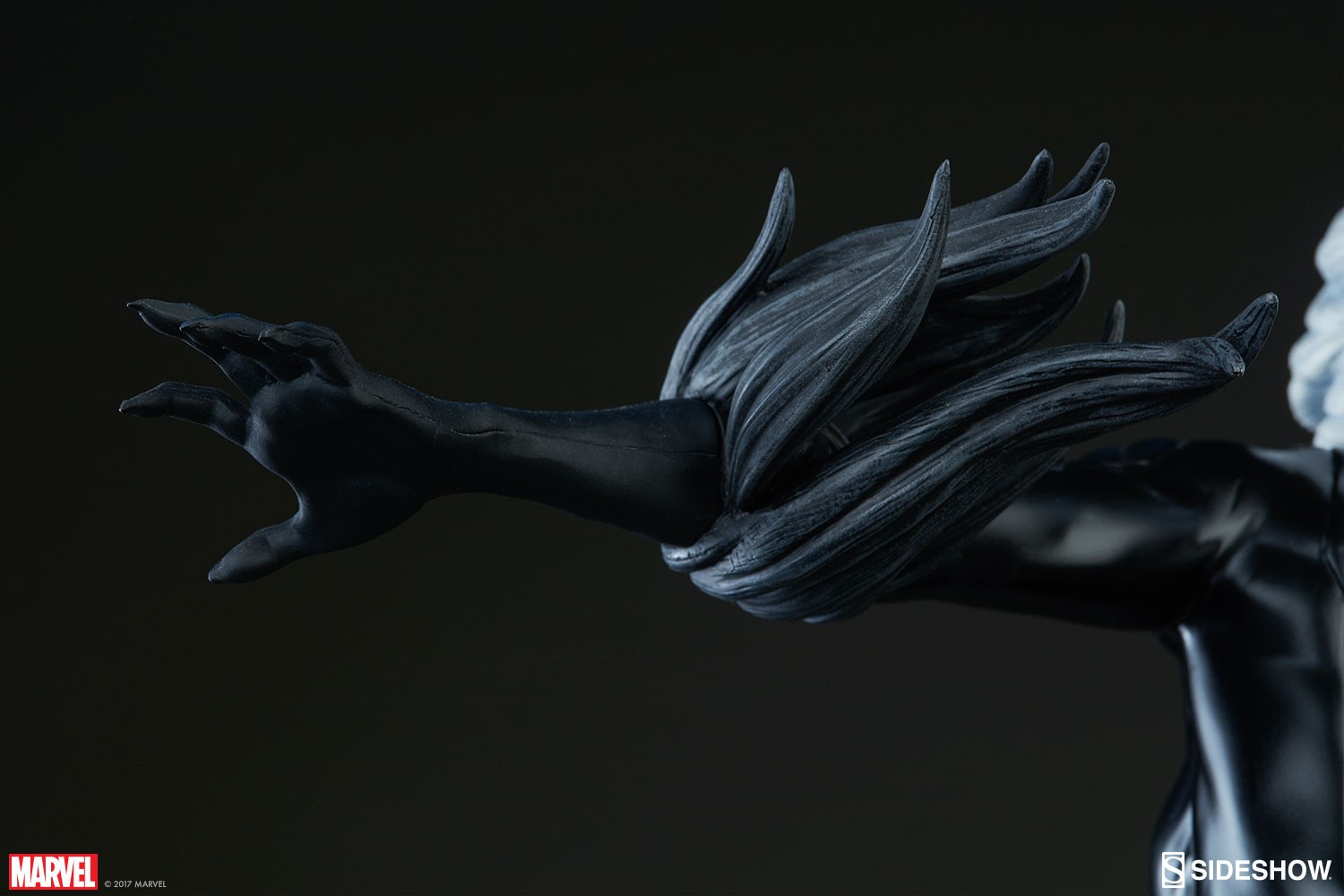 Black Cat