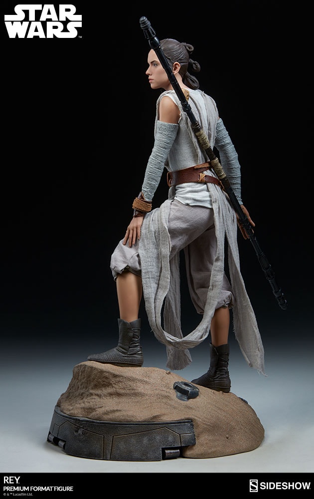Rey Collector Edition View 19