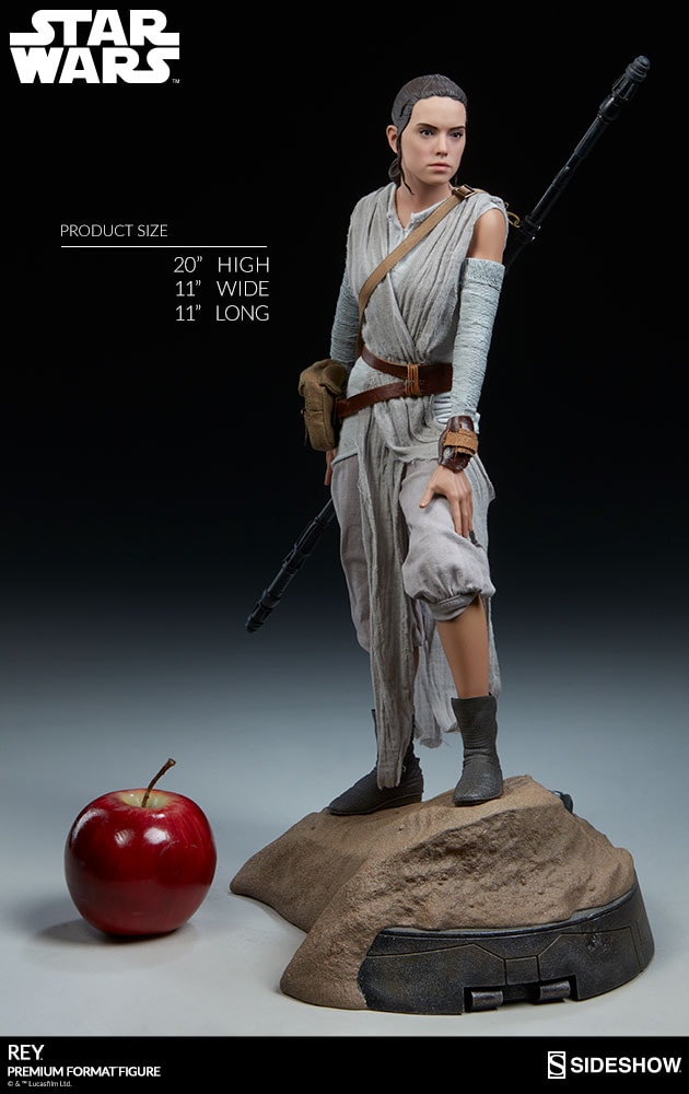 Rey Exclusive Edition View 19