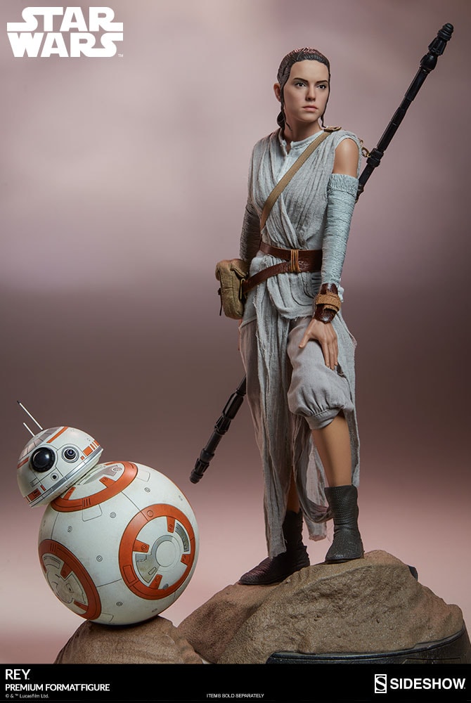 Rey Collector Edition View 23
