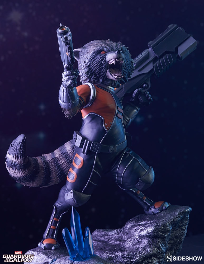 Rocket Raccoon View 16