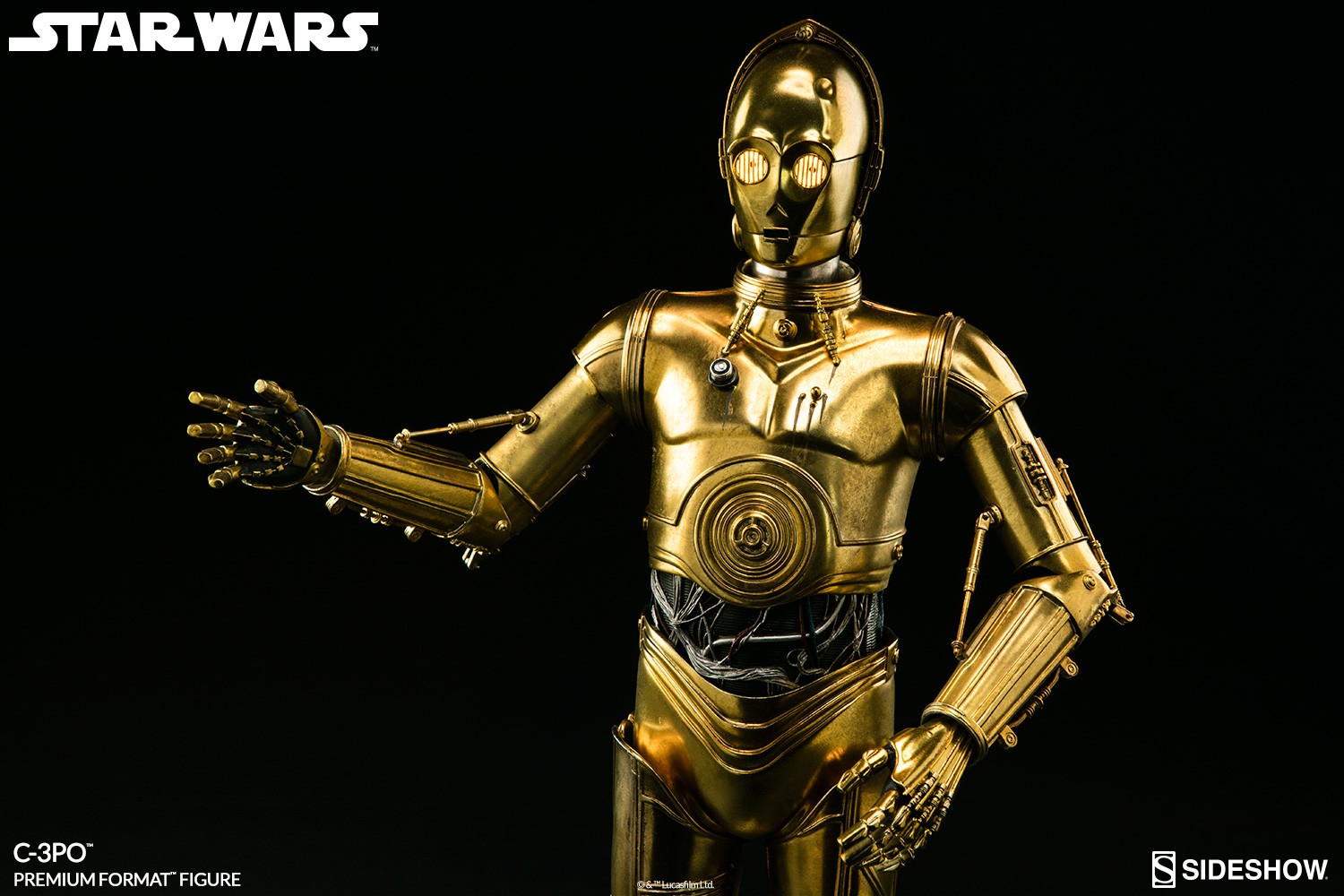 C-3PO (Prototype Shown) View 8