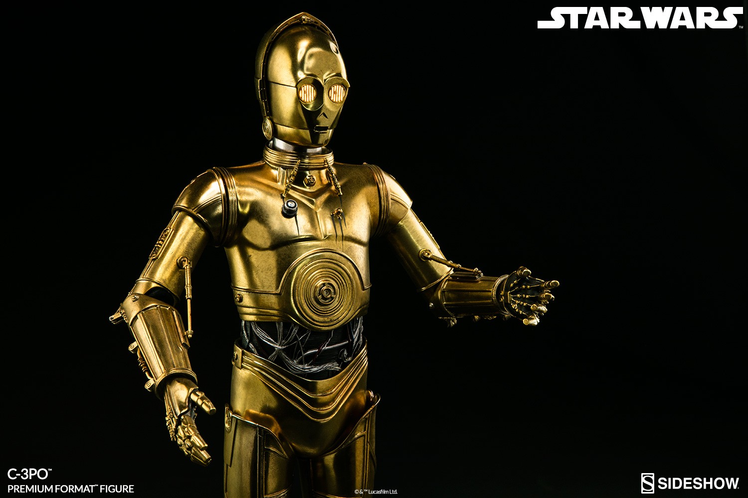 C-3PO (Prototype Shown) View 9