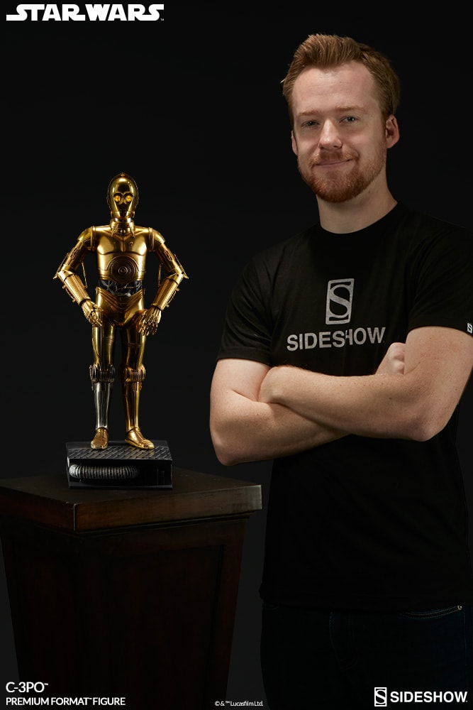 C-3PO (Prototype Shown) View 11