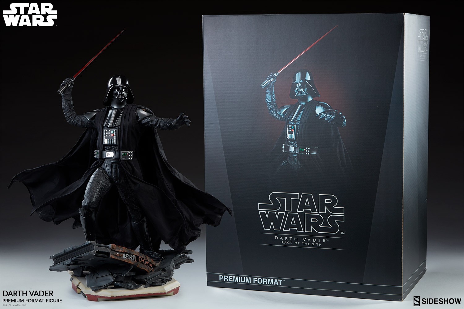 Darth Vader Collector Edition View 5