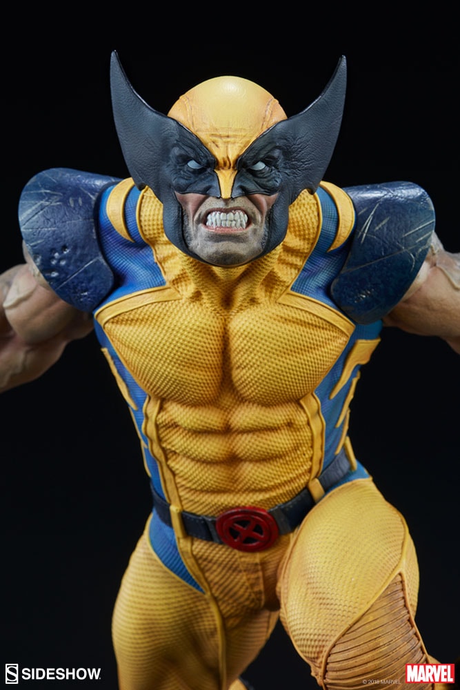 Wolverine Collector Edition View 18