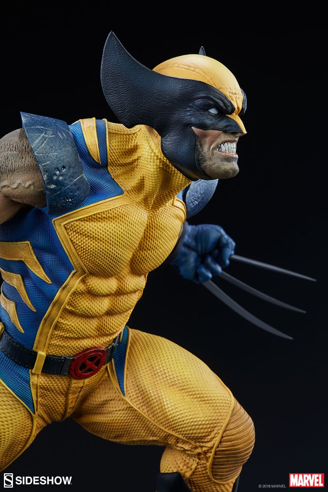 Wolverine Collector Edition View 17