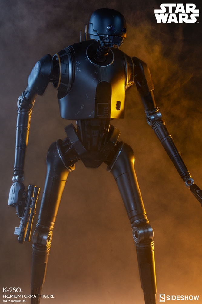 K-2SO View 2