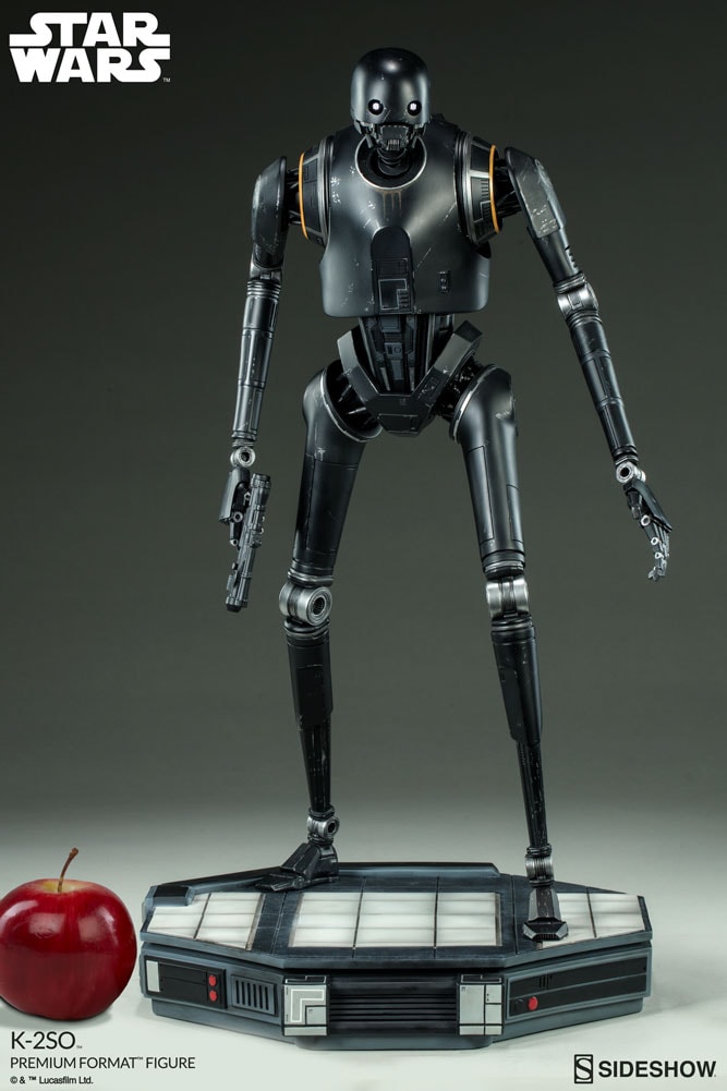K-2SO View 3