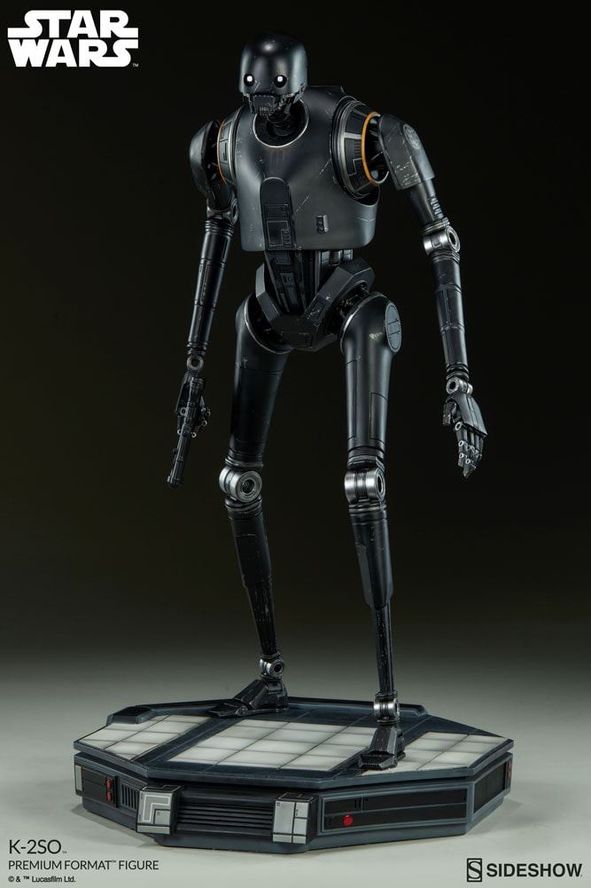 K-2SO View 4