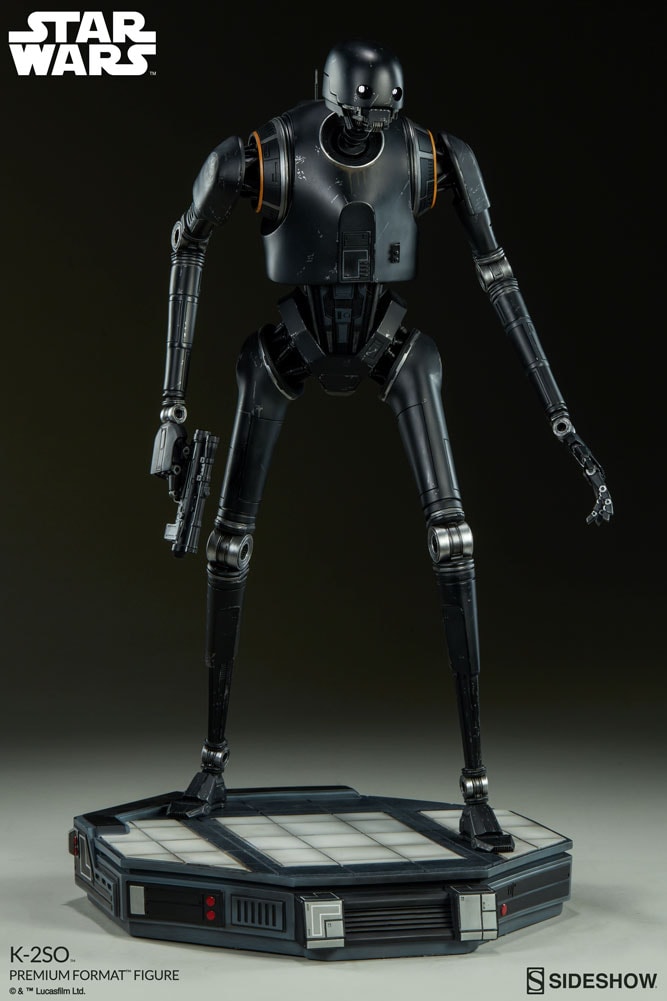 K-2SO View 7