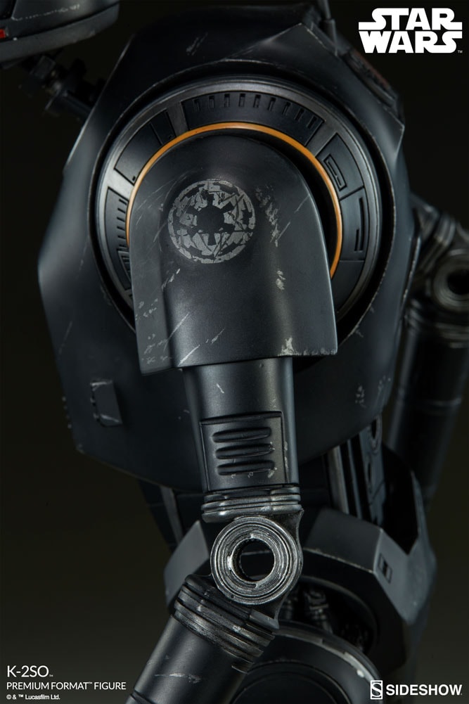 K-2SO View 11
