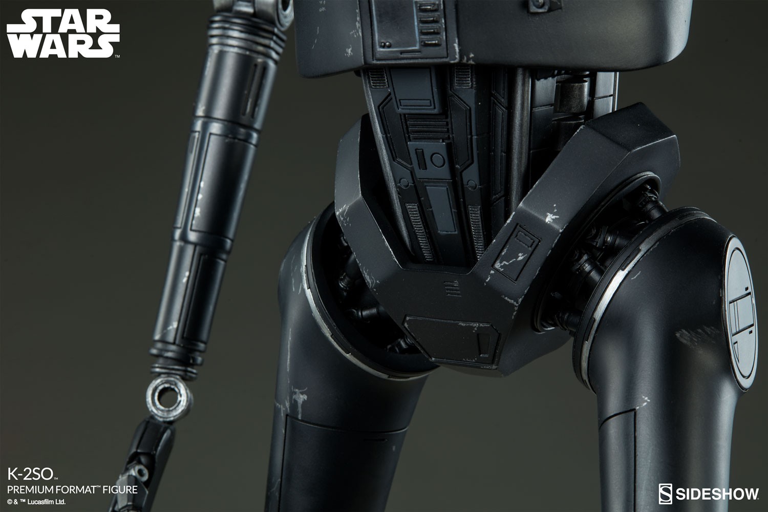 K-2SO View 12