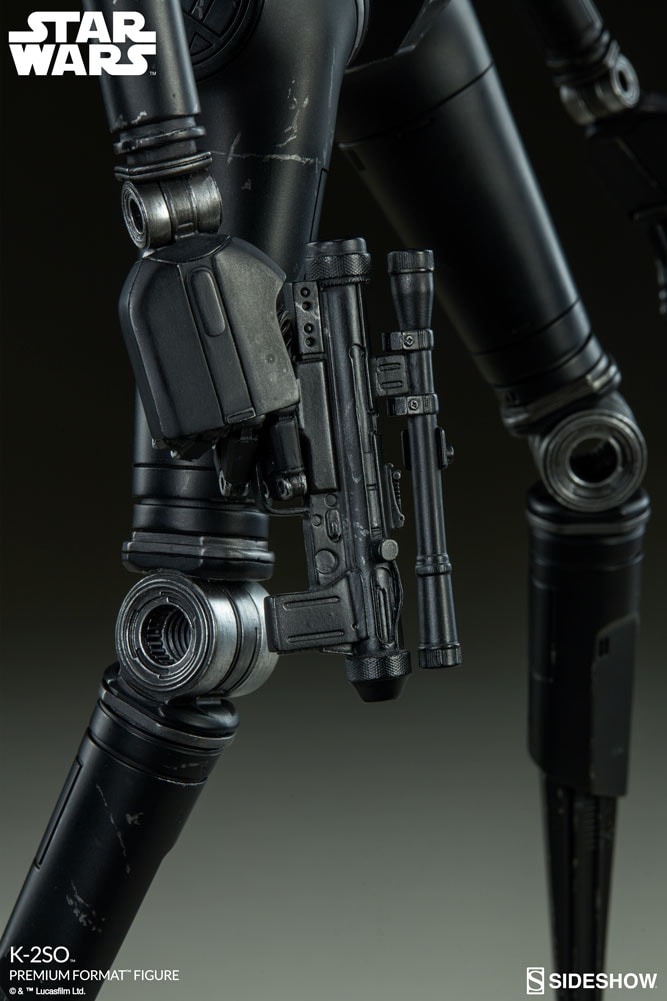 K-2SO View 13