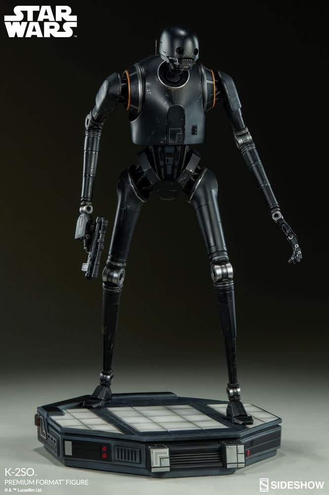 K-2SO View 15