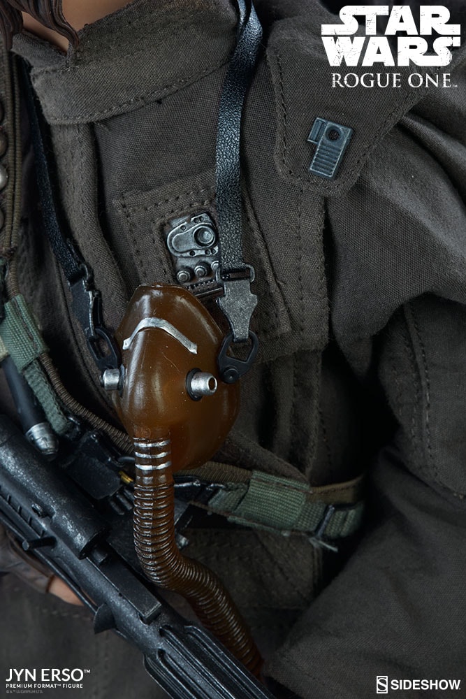 Jyn Erso Collector Edition View 2